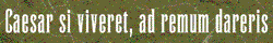image courtesy of internetbumperstickers.com