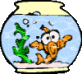 fishbowl