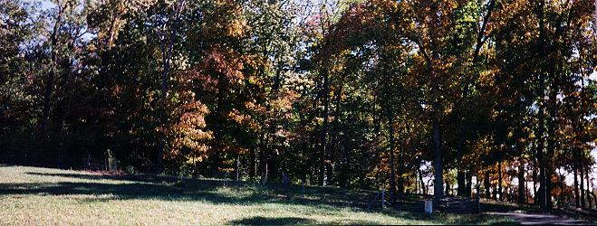 Scottsville Road