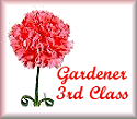 Third Class