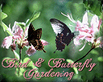 Butterfly and Bird Badge