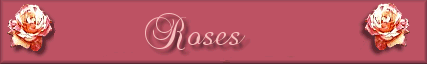 Roses Banner