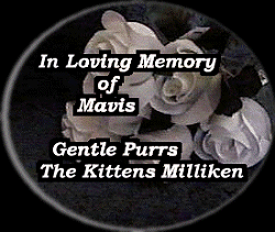 Milliken's Honor Mavis