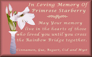 To Primmy from The WhitKits