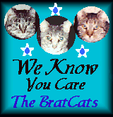 BratCatCareAward