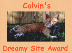 Calvin'sDreamyAward