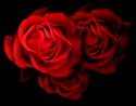 Graphics By: Pats & Graphics