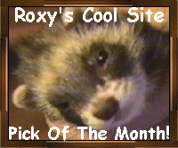 Roxy's Nook