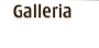 Galleria del pittore