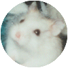Bernard