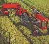 Cutting hay