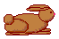 bunny