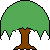 willow tree
