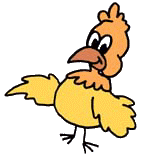 chicken