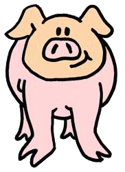 pig