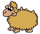 sheep