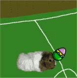 'Spicy' by Treen