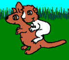 'Spicy' by Alix