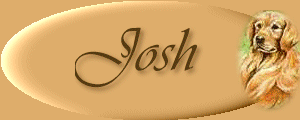 Josh.gif (13220 bytes)