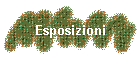 Esposizioni