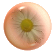 Glass Button