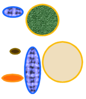 original shapes