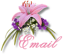 Send Me Email