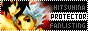 Protector - The Hitsugaya Toushirou x Hinamori Momo FL (BLEACH)