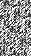 40