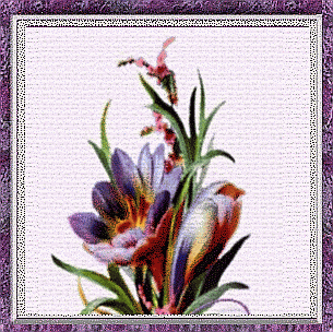 smilestoryframe.gif