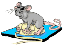 Mouse