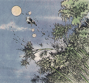 Tiger gets knocked over the treetops