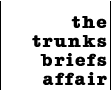 the trunks briefs affair
