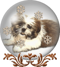Wicket Snowglobe