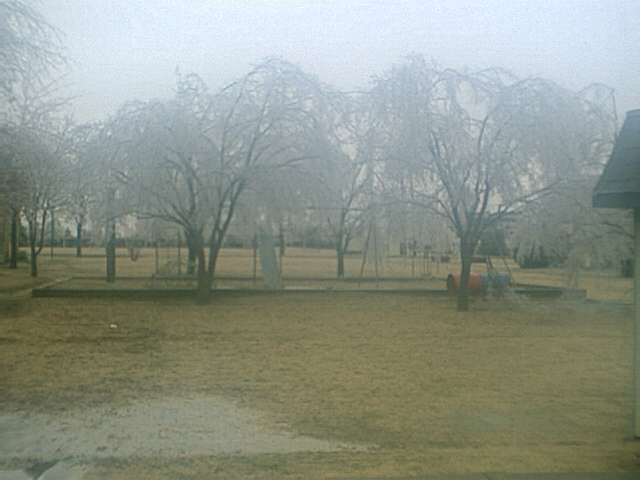 Around the playground