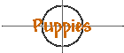 Puppies