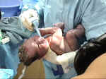 Birth2.JPG (58351 bytes)