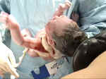 Birth4.JPG (52909 bytes)