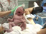 Birth8a.JPG (64131 bytes)