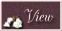 View Guestbook