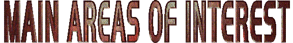 Main Areas of Interest Logo