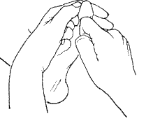 reflexo.gif (3131 bytes)