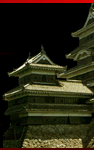 Takeda Castle