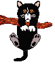hanging cat
