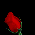Gift From: Spirit/Fairy/SS/RoL Wisdom 5/4/00