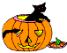 catgif