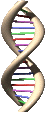 dnagif