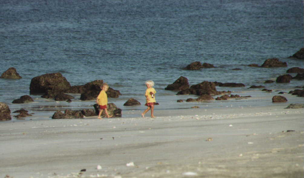 Shell kids searching for ... shells