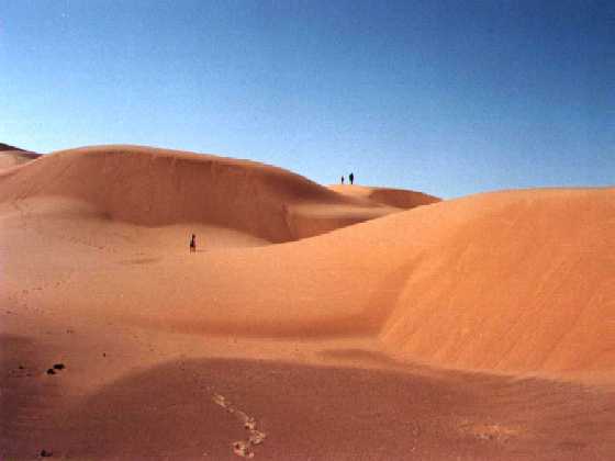 Beautiful sand dunes