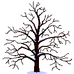 Tree Graphic